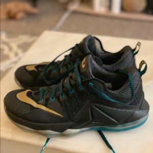 Lebron 12 low svm-size 10.5